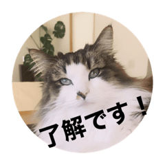 Hana_20210222102518