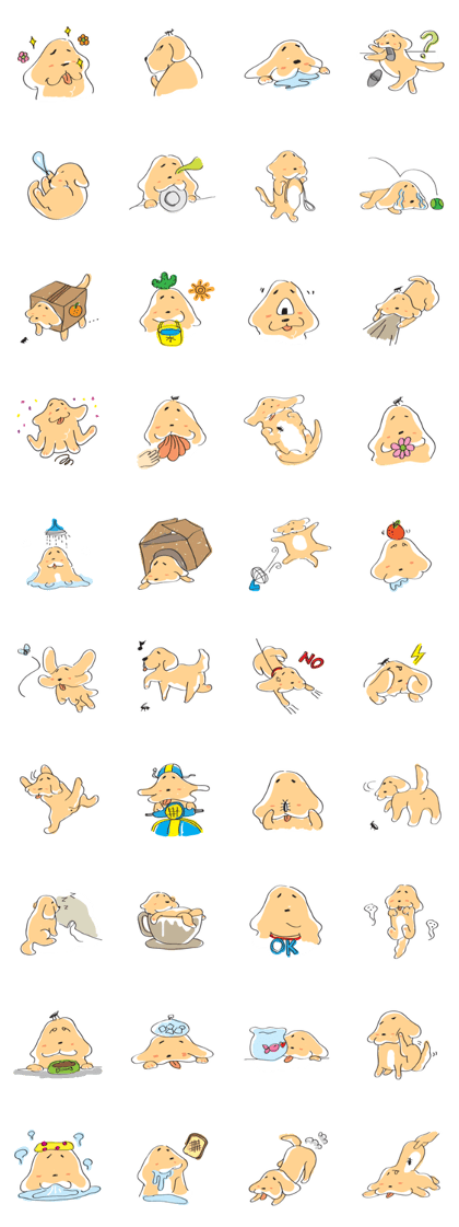The golden retriever"Go Go"