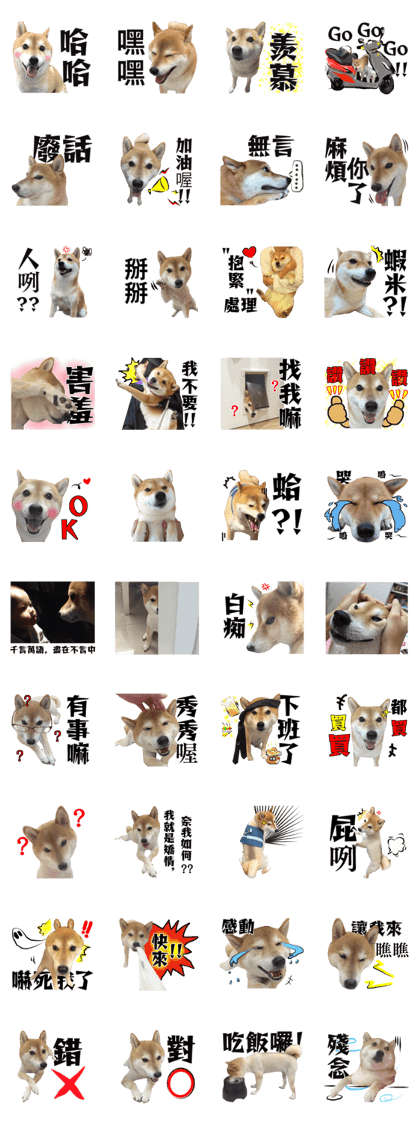Shiba Sky II