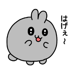 Amami-Oshima-Rabbits
