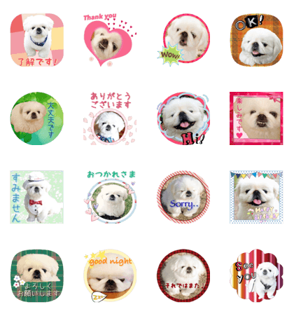 pekingese dog Ten's sticker