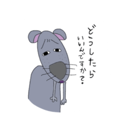 melon_20210221214322