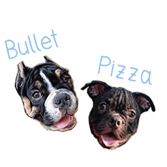 Bullet&Pizza