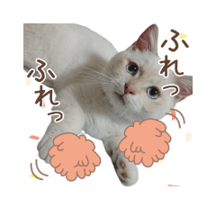 Chihiro_20210221165050