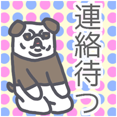 busakawa dog Sticker
