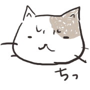 buchicchi cat