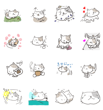 buchicchi cat