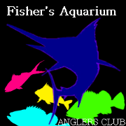 Shadow of fish Sticker2