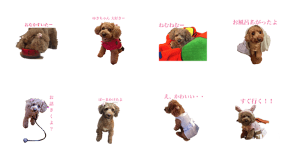 Cute Lilo vol.3