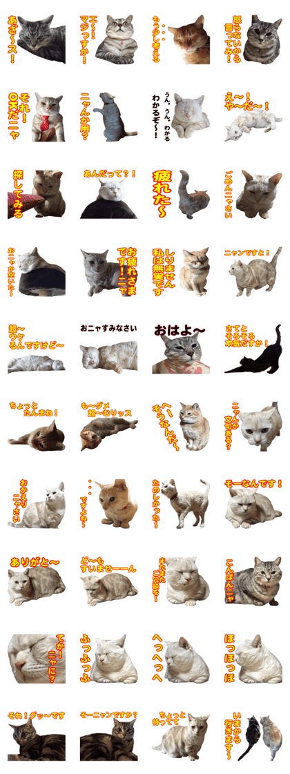 Five of them are full of Nara rangers