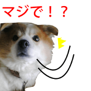 Feelings conveyed!? like a dog