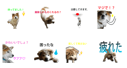 Feelings conveyed!? like a dog