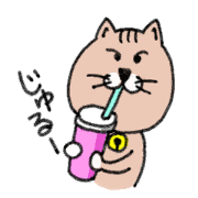 Funny cat cute friend