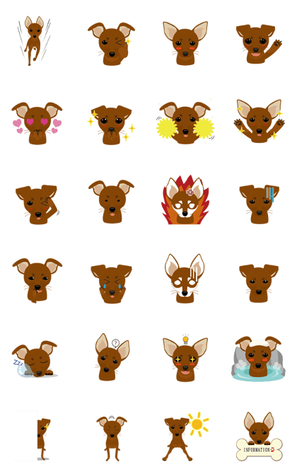 Miniaturepinscher with red coat