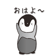 A cute penguin [Huang]'s life