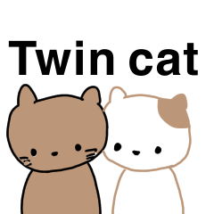 双子の猫の日常