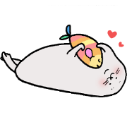 Hello I am a seal
