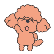 toy poodle toto!