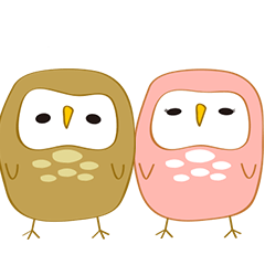 owl and owl