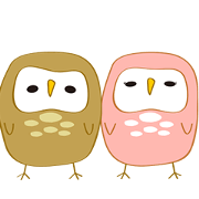 owl and owl