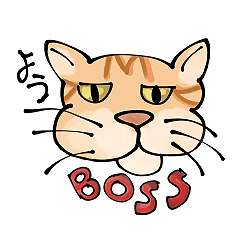 Life of the Boss Cat