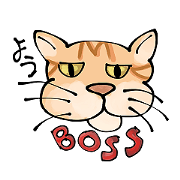 Life of the Boss Cat