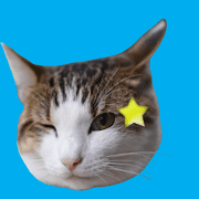 move! real cat sticker