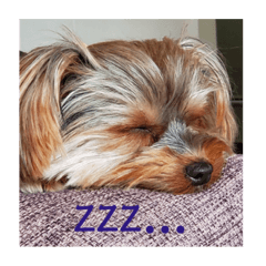 Hikari_20210222170622