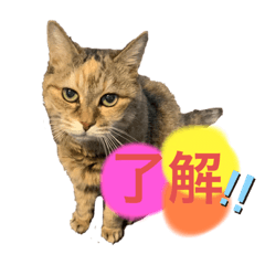 nanami_20210222170238