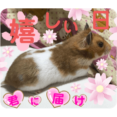 YUKINA_20210222175628