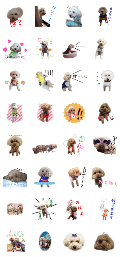 Toypoodlels ~Every Day~