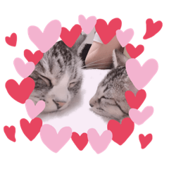 nozomi_20210222175817