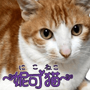 Nicole Cat - real J