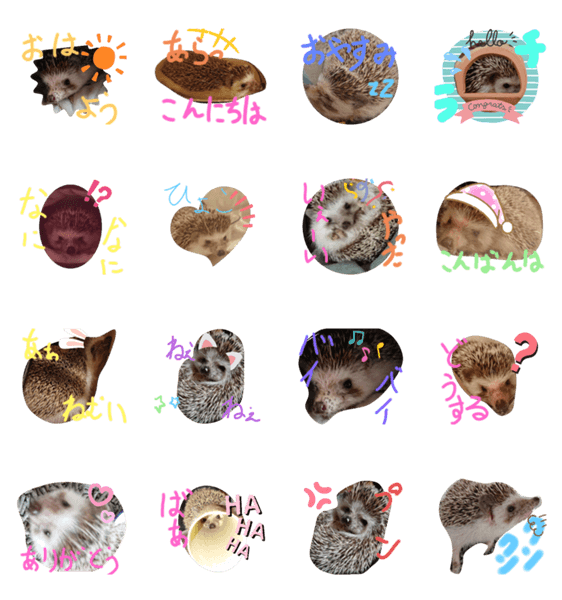 最も共有された ハダカデバネズミ 英語 はだかでばねずみ 英語で