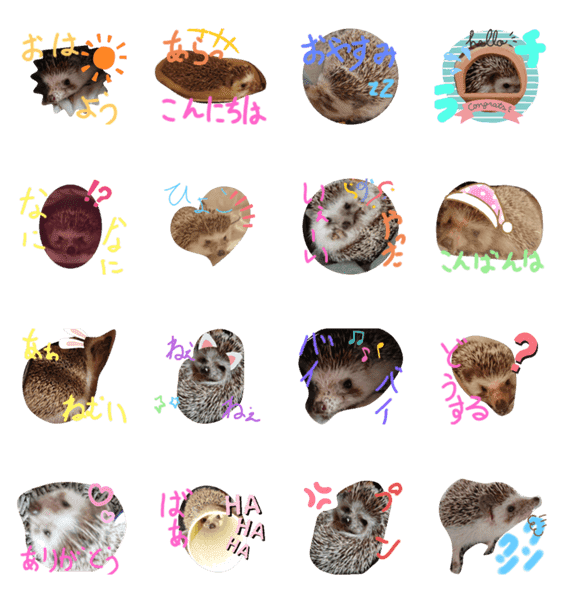 最も共有された ハダカデバネズミ 英語 はだかでばねずみ 英語で 最も共有された ハダカデバネズミ 英語 はだかでばねずみ 英語で