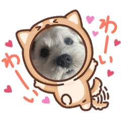 tomomi_20210222232048