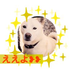 suzu_20210223063549