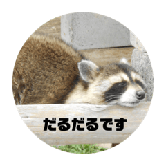 cherry_20210223073754