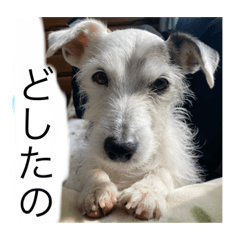 Lucas_20210222212347