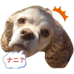 ichigomochi_20210222223846