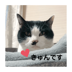 Nagisa_20210222224009