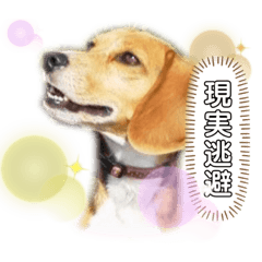 Cocoa_20210223104825