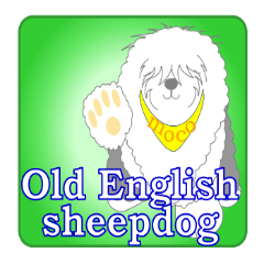 Old English sheepdog in Indonesian