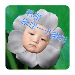 太陽睿睿日常