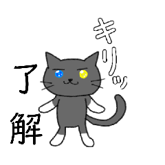 collar GRAYcat  name shirotabi