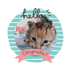 我叫妞妞 用長相賺罐罐