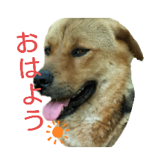 asuka_20210222235415