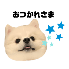 Aoi_20210223003031