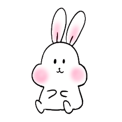 casual bunny1