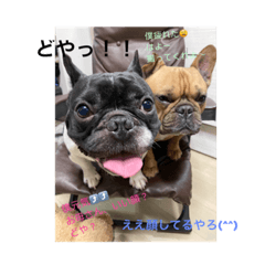 chie_20210223125515